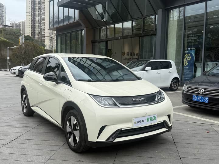 BYD Dolphin